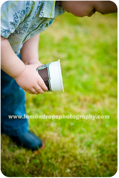 lemmons-0286editrswmblog