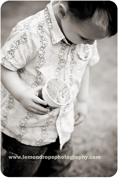 lemmons-0288edit-copyblog